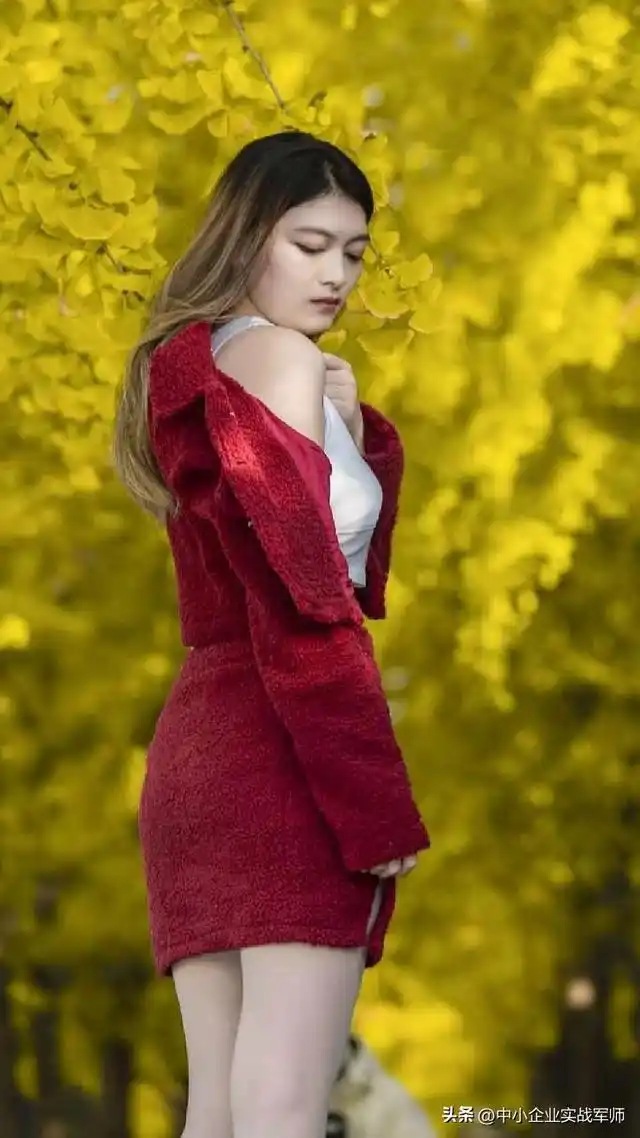 摄影作品欣赏:人物——中小企业实战军师