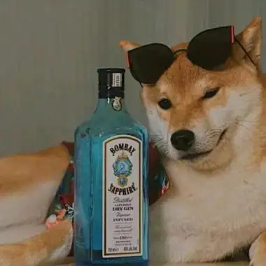 这么可爱的狗狗谁能比?_微信头像_我要个性网