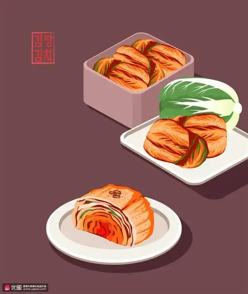 辛辣白菜韩国泡菜彩色手绘美食插画