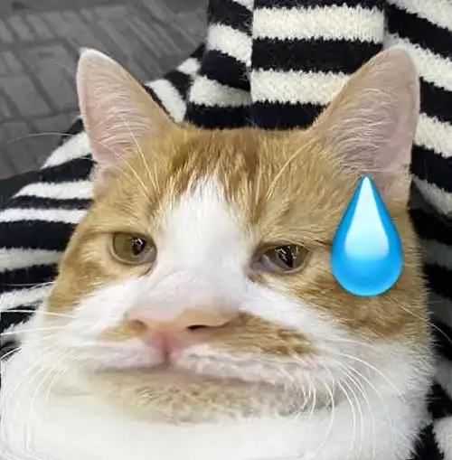 一大波超级无敌沙雕表情包