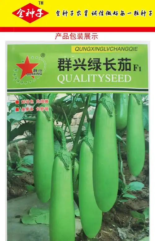 群星绿长茄种子高产四季青茄子种籽水果耐寒春季播菜种子蔬菜种孑