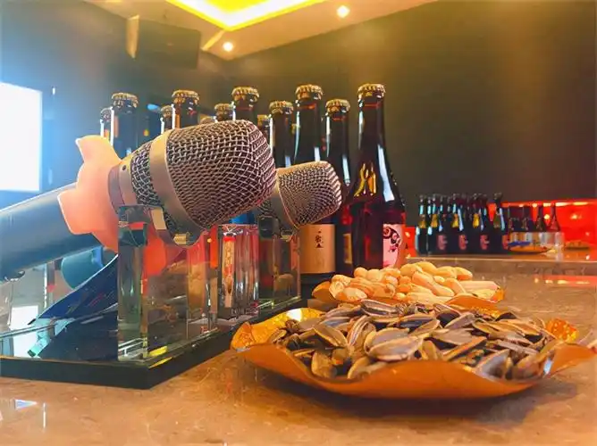 酷迪ktv9.9元就能嗨唱2小时