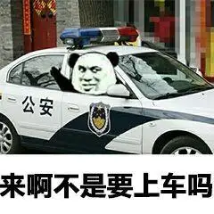 熊猫头坐在警车内:来啊 不是要上车吗-熊猫头,搞笑,装逼
