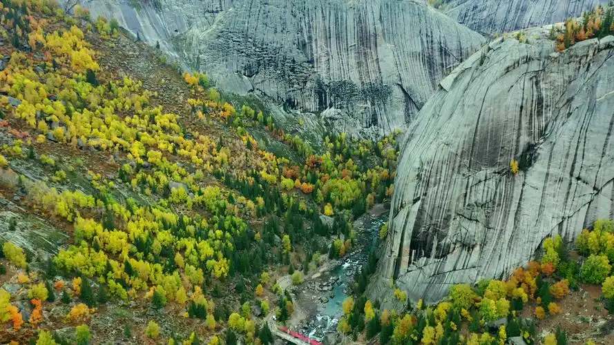 这里属于典型的高山五花草甸天然大草原,海拔在1305-3957米之间,东西