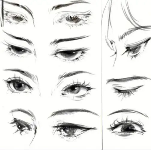 清晰黑白眼睛线稿