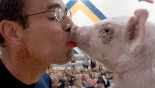 世界吉尼斯接吻记录 各种奇葩各种爱