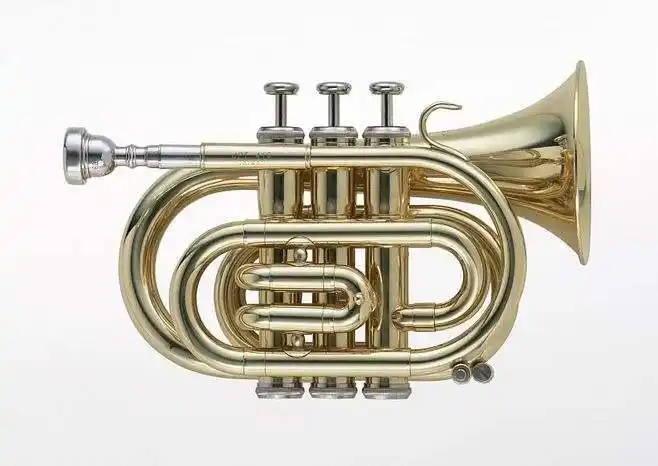 女人小号播放器号手演奏音乐爵士乐乐器黄铜乐队乐器妇女演奏乐器小号