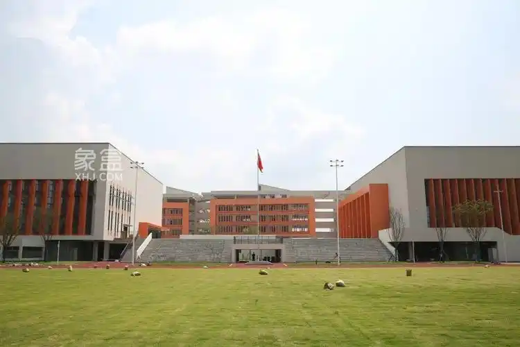 长沙雅礼洋湖会展中学育英会展小学等两所新学校2023年秋季投入使用