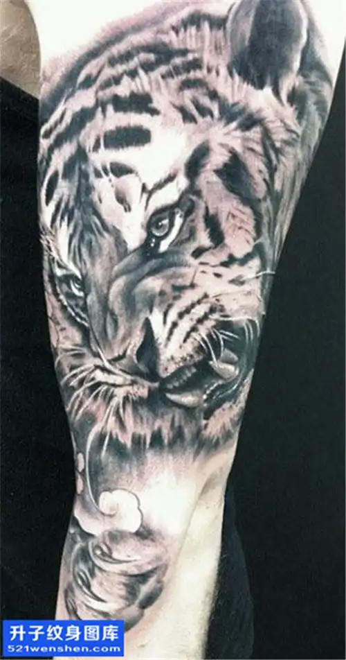 男性大臂欧美黑灰老虎纹身图案大全