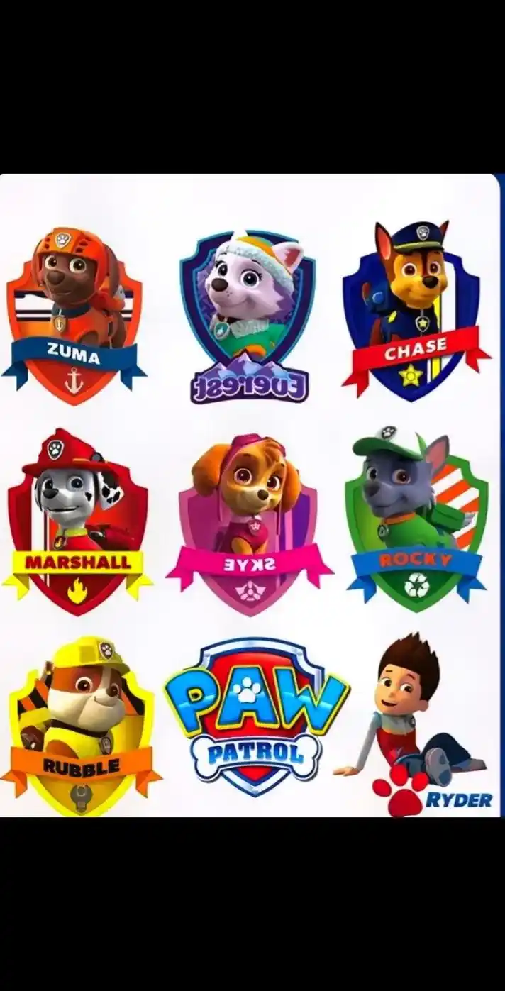 汪汪队立大功成员.莱德,毛毛,天天,阿奇,小砾,灰灰,小克, - 抖音