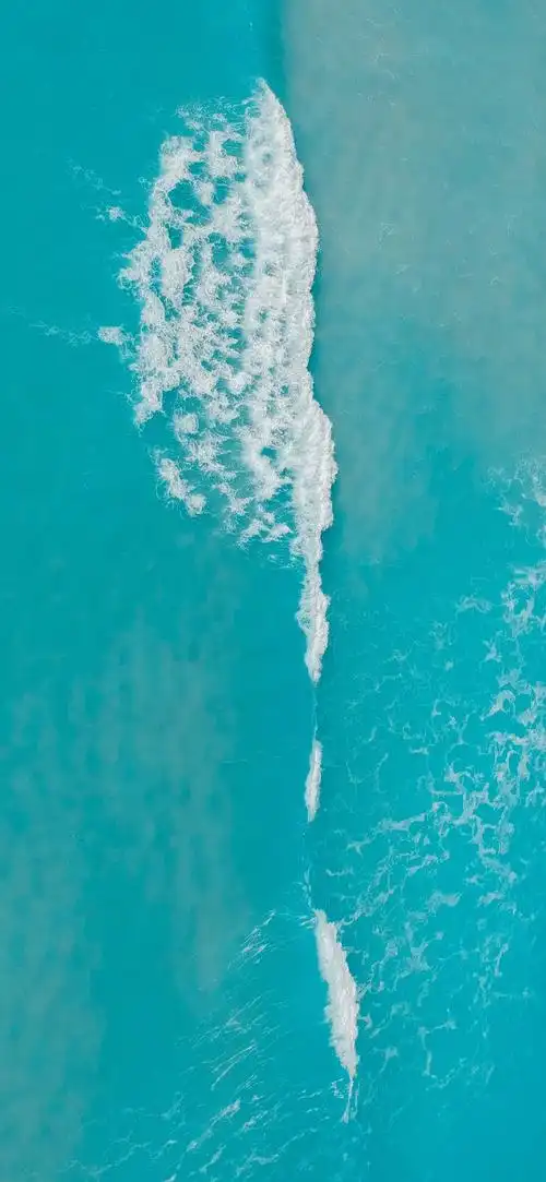 1440_3120竖版 竖屏