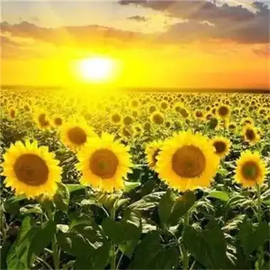 值得用一辈子的头像