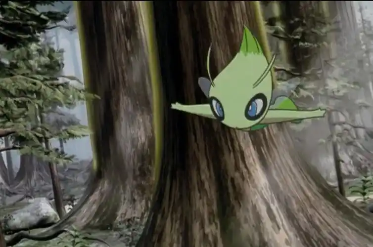 宝可梦时拉比图鉴宝可梦时拉比属性详解