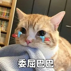 委屈巴巴 - 萌猫qq表情包_qq表情包_微信表情包表情
