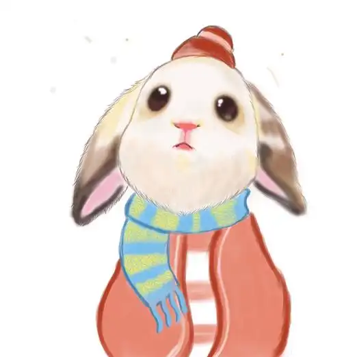 呆萌可爱手绘兔子