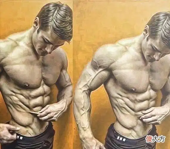 人鱼线在哪个部位腹肌图片 人鱼线和马甲线在哪里