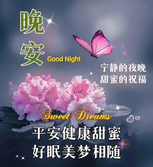 晚安08