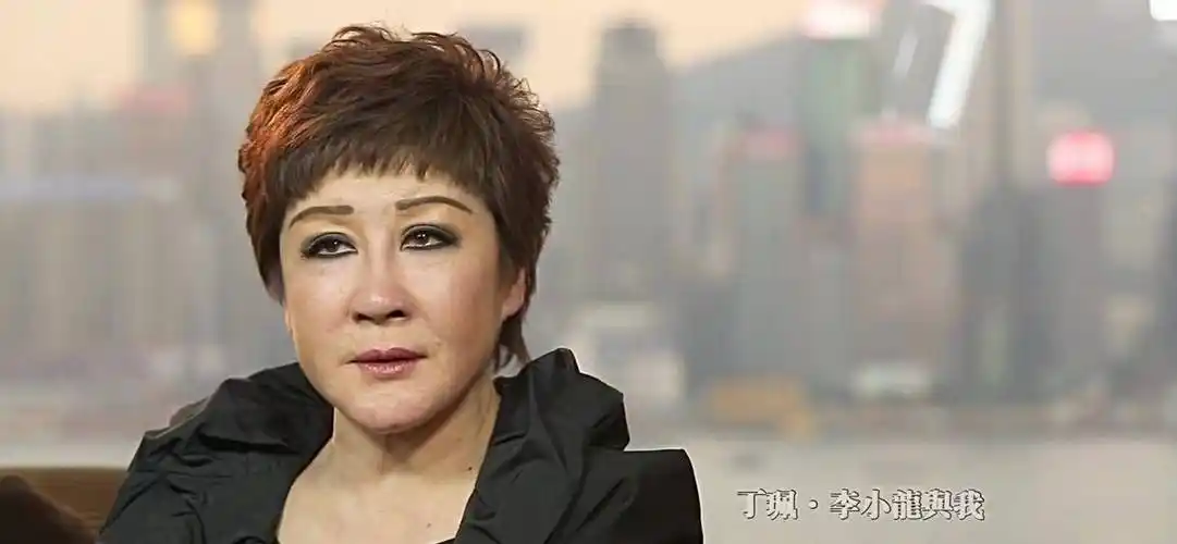 向华强唯一的女儿,生母是丁佩,45岁未婚低调如透明人_向永恒_陈岚