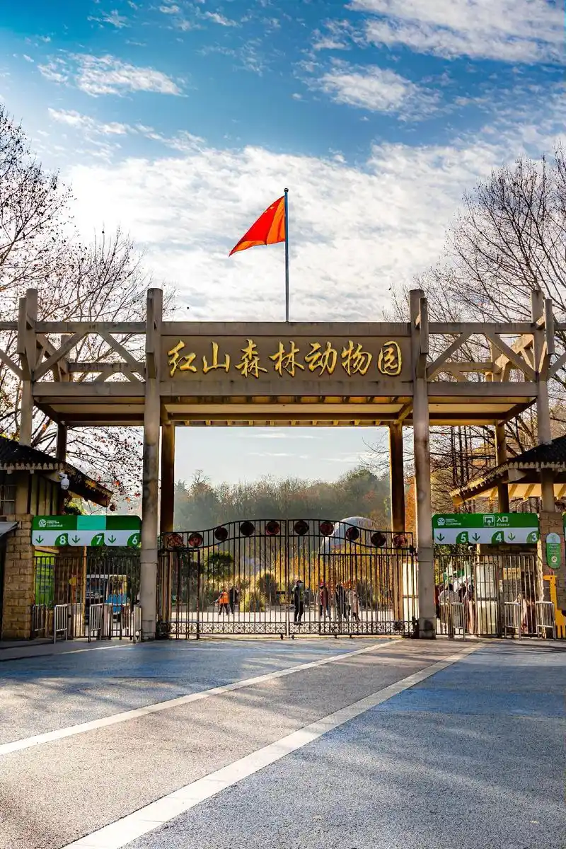 南京红山森林动物园游玩攻略."春节假期不知道去哪玩,那就去红 - 抖音