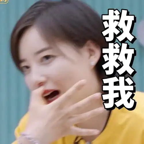 李斯丹妮表情包大楼