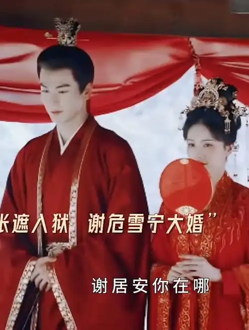 谢危姜雪宁大婚终于等到了