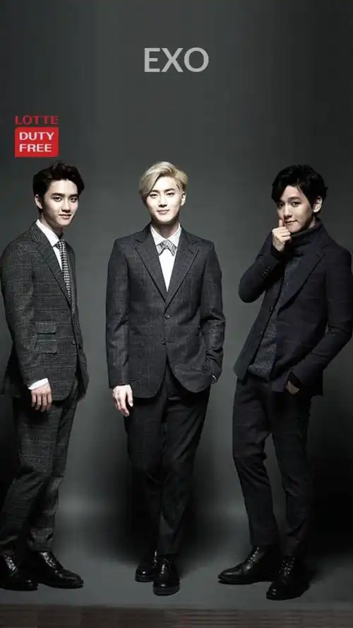 do 金俊勉 边伯贤 exo