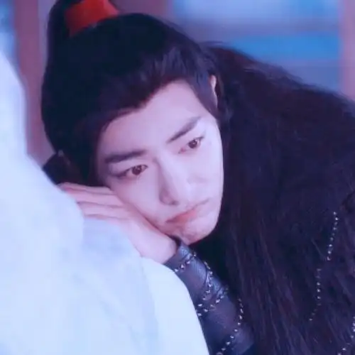 《陈情令》〈肖战-头像〉二传请dt.朝歌