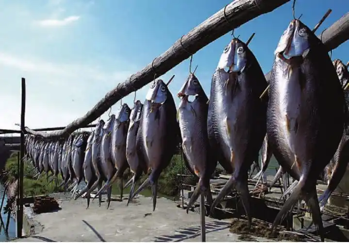 北海渔场——世界著名的渔场之一_挂云帆