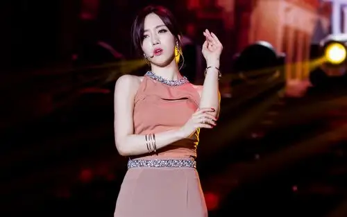 韩国女团t-ara演唱会高清桌面壁纸