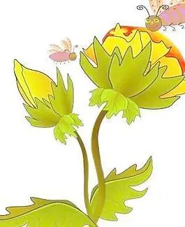 蚕豆花和蜜蜂图片_蚕豆花和蜜蜂素材_蚕豆花和蜜蜂模