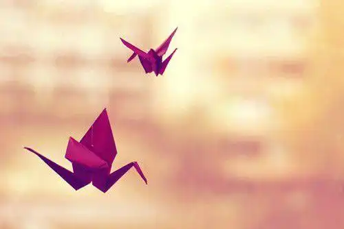 满满都是千纸鹤,你们喜欢么?