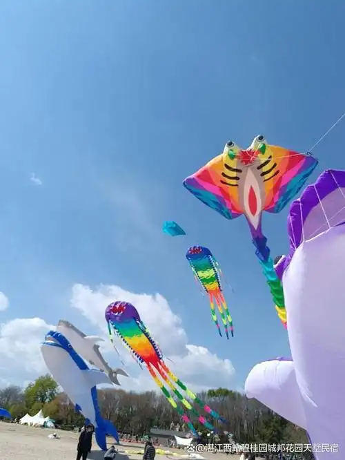 在阳光沙滩海鸥中尽情欢乐