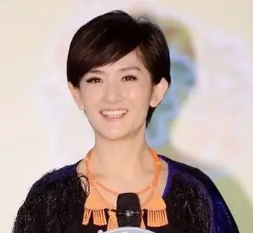 谢娜的蘑菇头发型