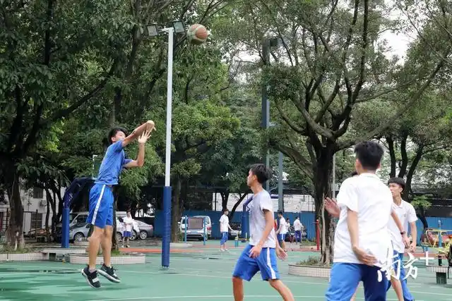 当下高中体育篮球训练的基本特征