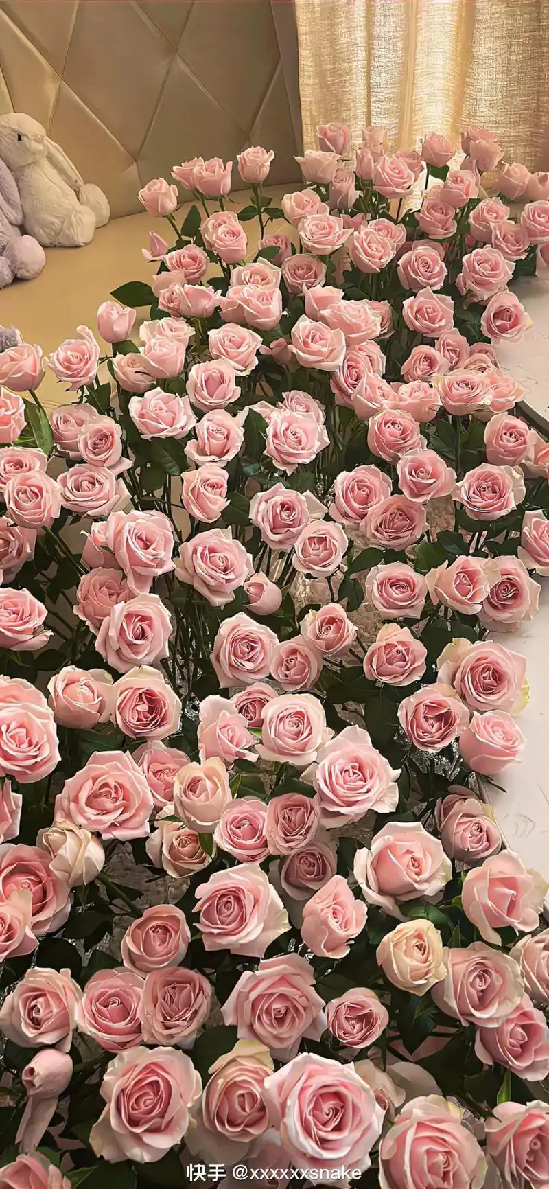 好看的背景图  #ins壁纸 #玫瑰 #相册里的花 - 抖音