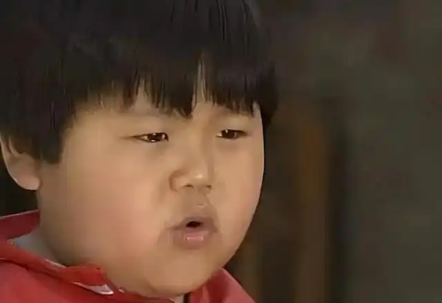 小龙人贝贝扮演者去世年仅38岁怎么回事_陈嘉男去世原因 - qq业务乐园