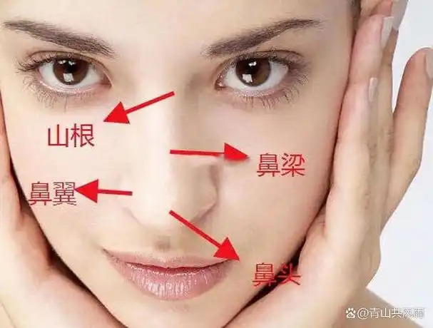 而在面相学中,鼻子的形状和大小被认为是象征财富的一个重要指标.