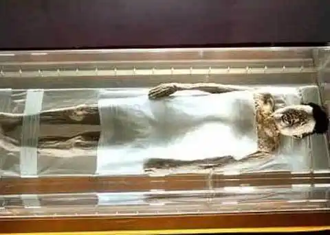 揭马王堆汉墓"千年女尸"不腐之谜