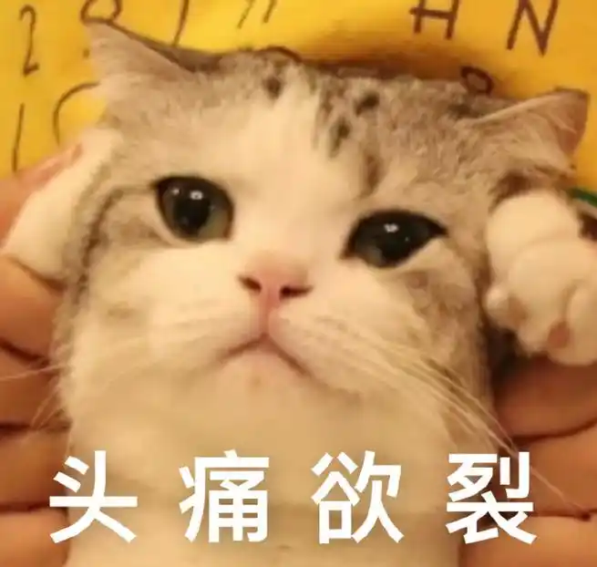 萌宠猫星人头痛欲裂难受呆萌可爱gif动图_动态图_表情包下载_soogif