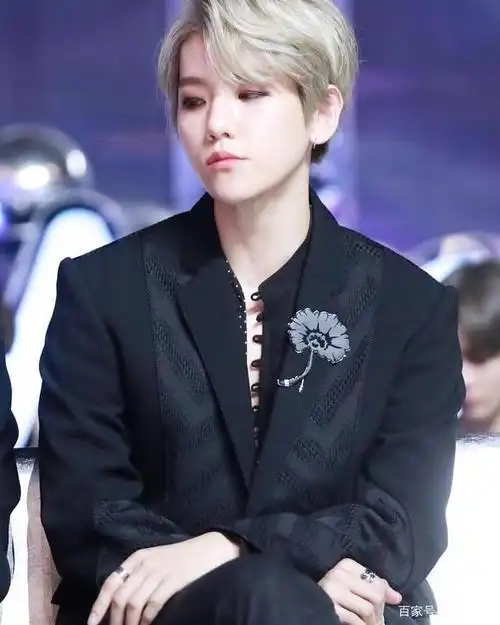 黑色西装的伯贤,搭配一头银色发型,正经严肃的样子很帅