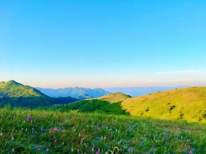 平利正阳大草甸,安康人身边的仙境