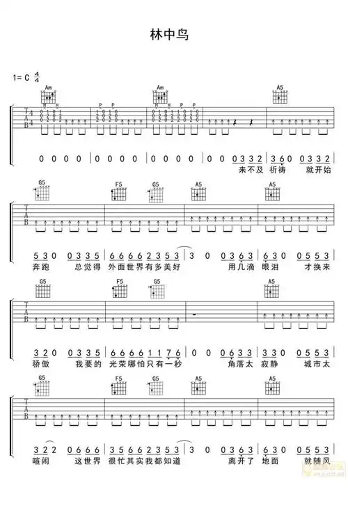 林中鸟吉他谱葛林林中鸟c调简单版弹唱六线谱高清图片谱