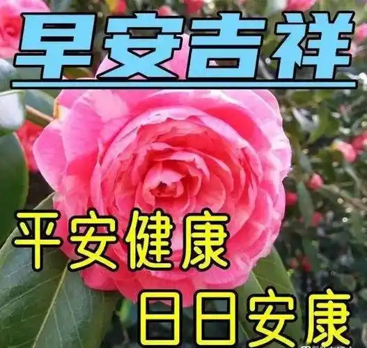平安健康日日安康