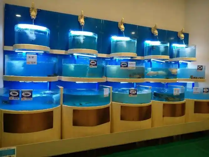 土建海鲜池工程7