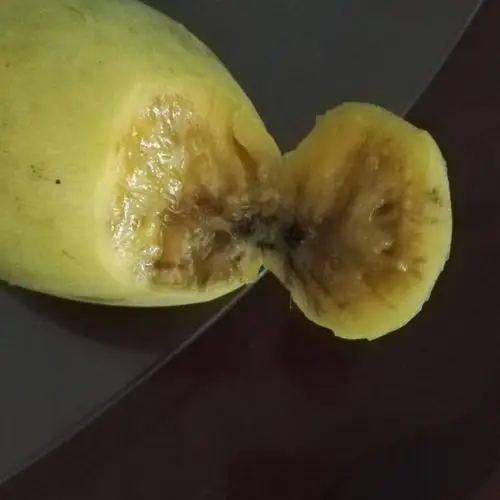 > 【世果汇】 越南进口小青芒果2000克 新鲜水果商品评价 > 已经n次买