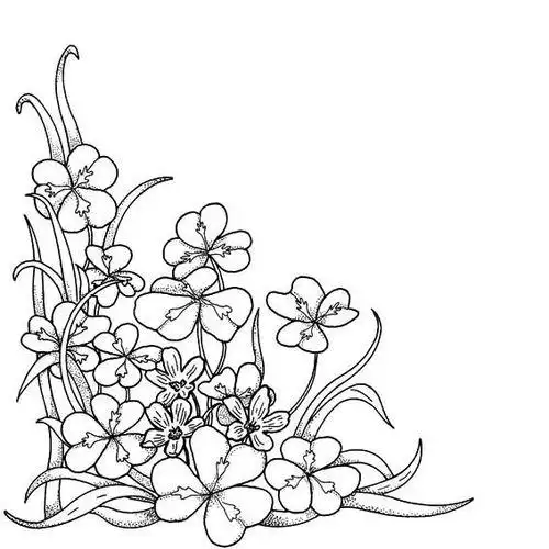 花边简笔画关于春天