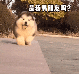 搞笑动态表情包