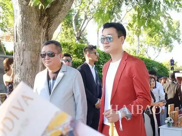 除了霍建华和佟大为这些已经出道很多年的老演员外,还有一些其他的