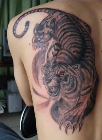 满背下山虎纹身图案 - 搜狗图片搜索