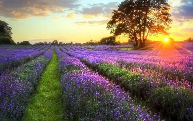 加收税收滞纳金的十种情形江阴注册公司江阴委托报关退税分享